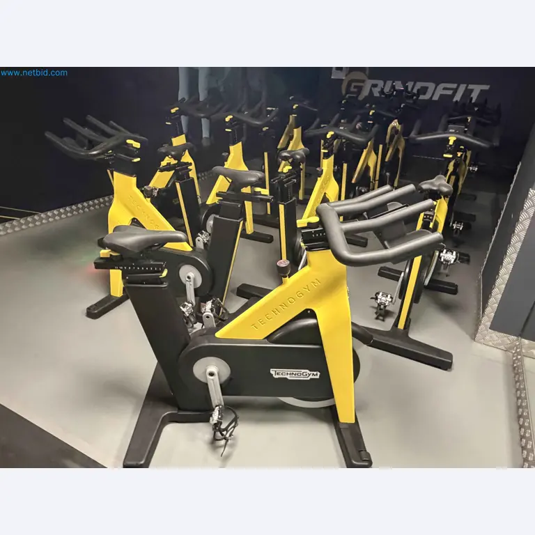 Leilão de Equipamentos de Ginásio Technogym Usados – Máquinas de Fitness Profissionais-11