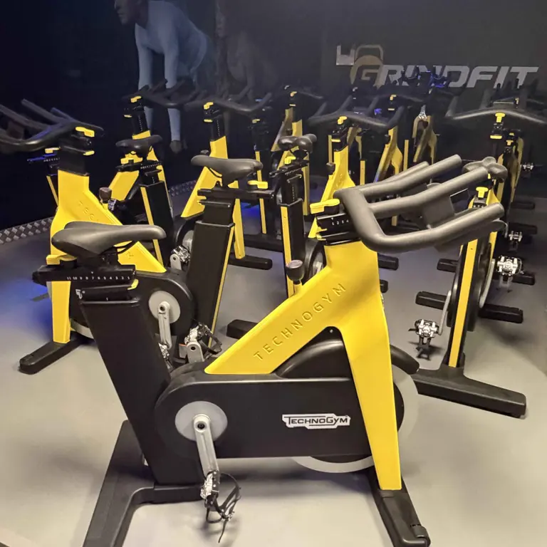 Indoor Bike TECHNOGYM Group Cycle Connect