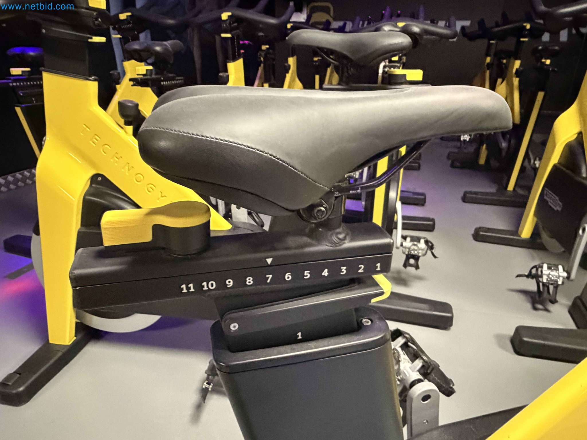 Auction of Used Technogym Gym Equipment – Professional Fitness Machines-3