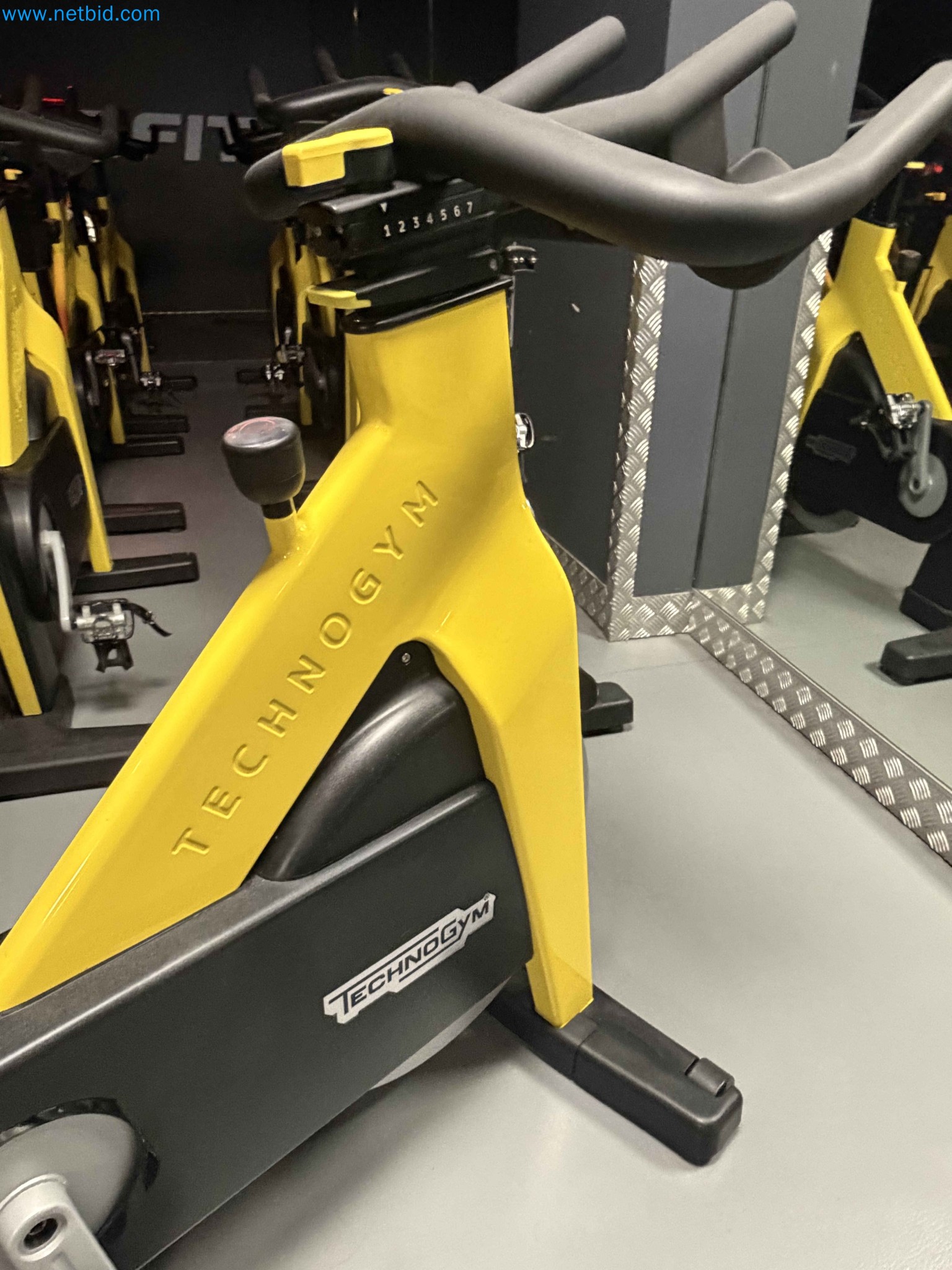 Auction of Used Technogym Gym Equipment – Professional Fitness Machines-5