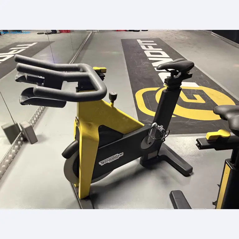 Auktion von gebrauchten Technogym-Fitnessgeräten – Professionelle Fitnessgeräte-9