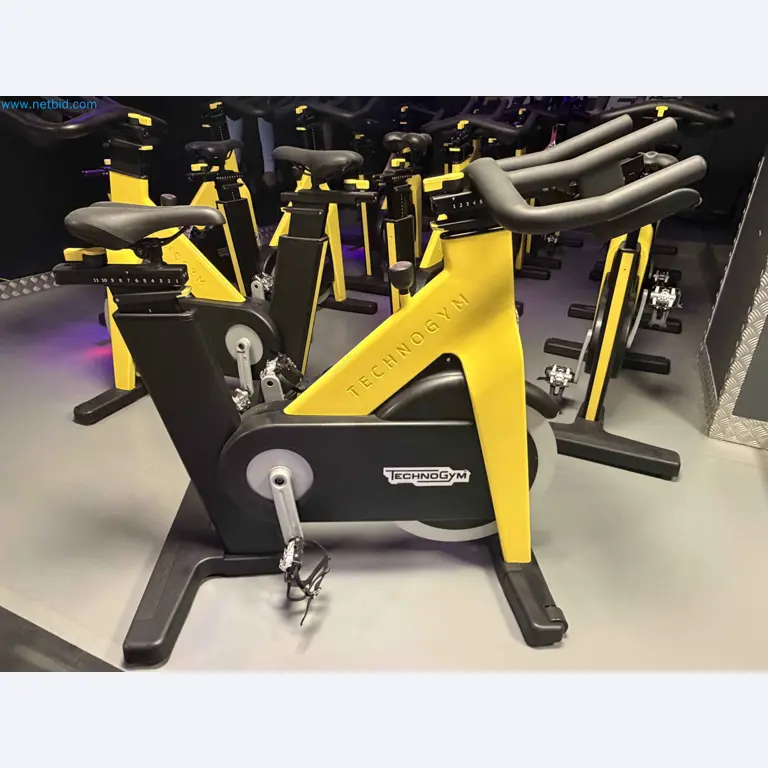 Leilão de Equipamentos de Ginásio Technogym Usados – Máquinas de Fitness Profissionais-2