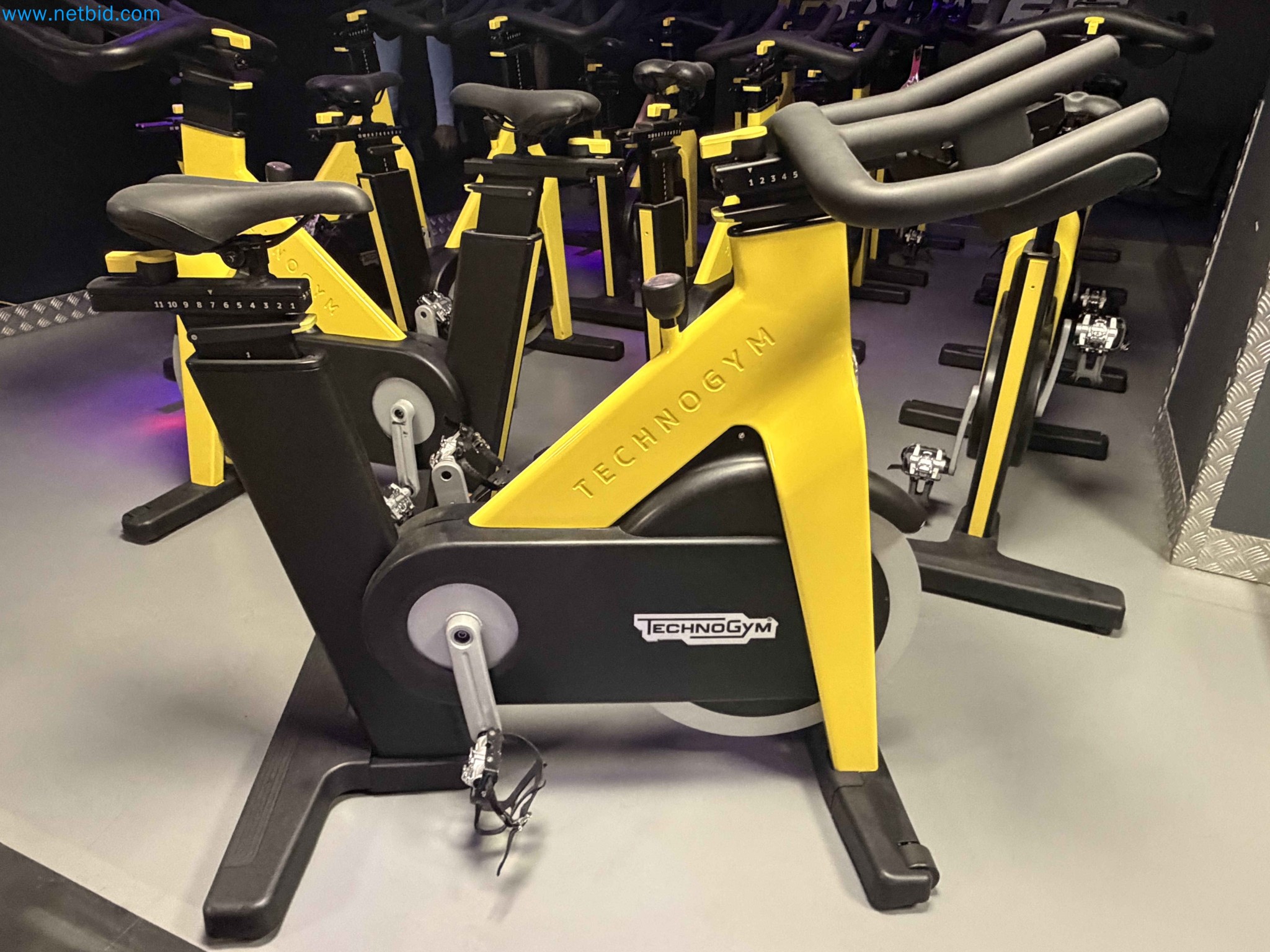 Auction of Used Technogym Gym Equipment – Professional Fitness Machines-2