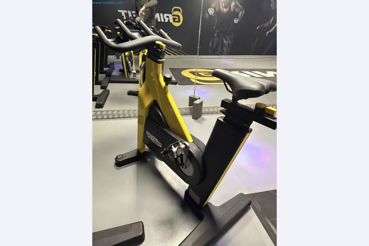 Vente aux enchères de matériel de fitness Technogym d'occasion - Appareils de fitness professionnels-8