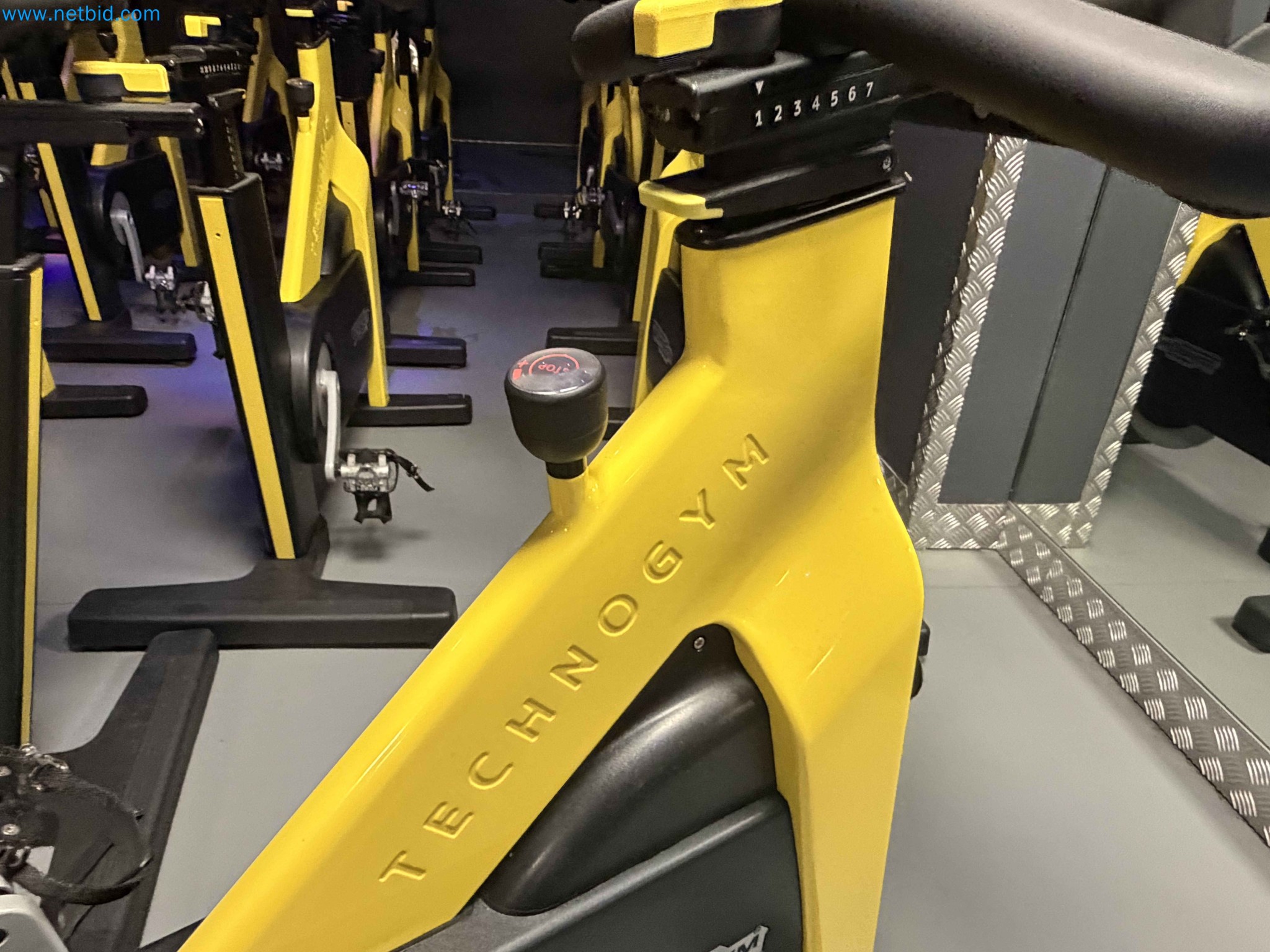 Auction of Used Technogym Gym Equipment – Professional Fitness Machines-4
