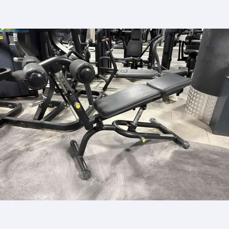 Vente aux enchères de matériel de fitness Technogym d'occasion - Appareils de fitness professionnels-10