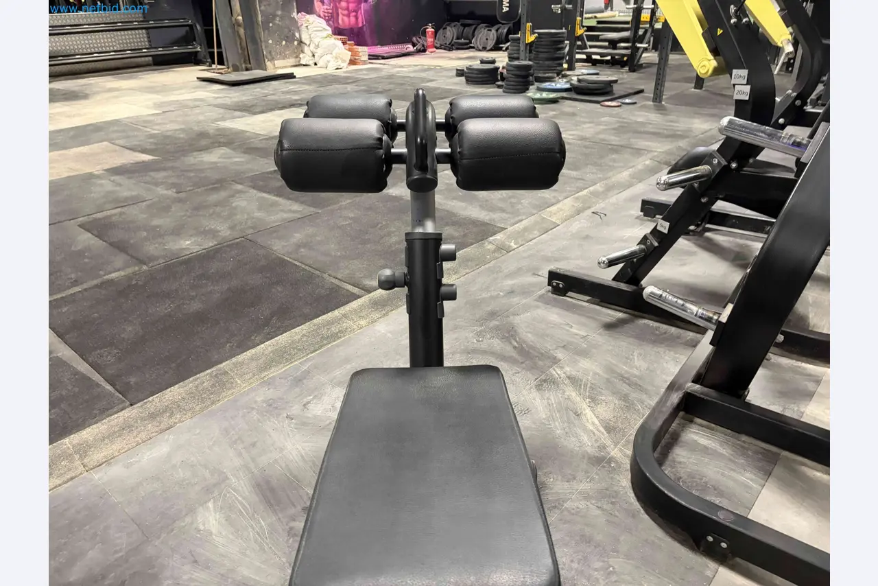 Vente aux enchères de matériel de fitness Technogym d'occasion - Appareils de fitness professionnels-5