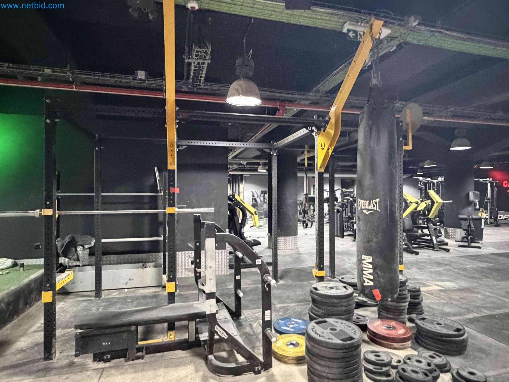 Auction of Used Technogym Gym Equipment – Professional Fitness Machines-10