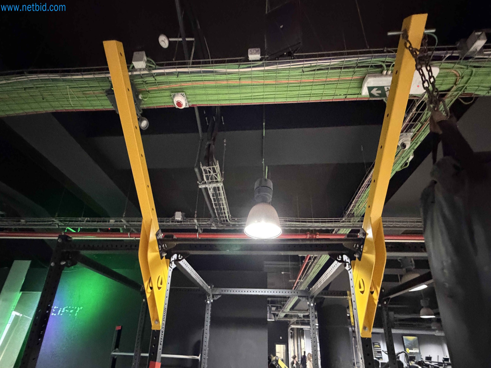 Auction of Used Technogym Gym Equipment – Professional Fitness Machines-11