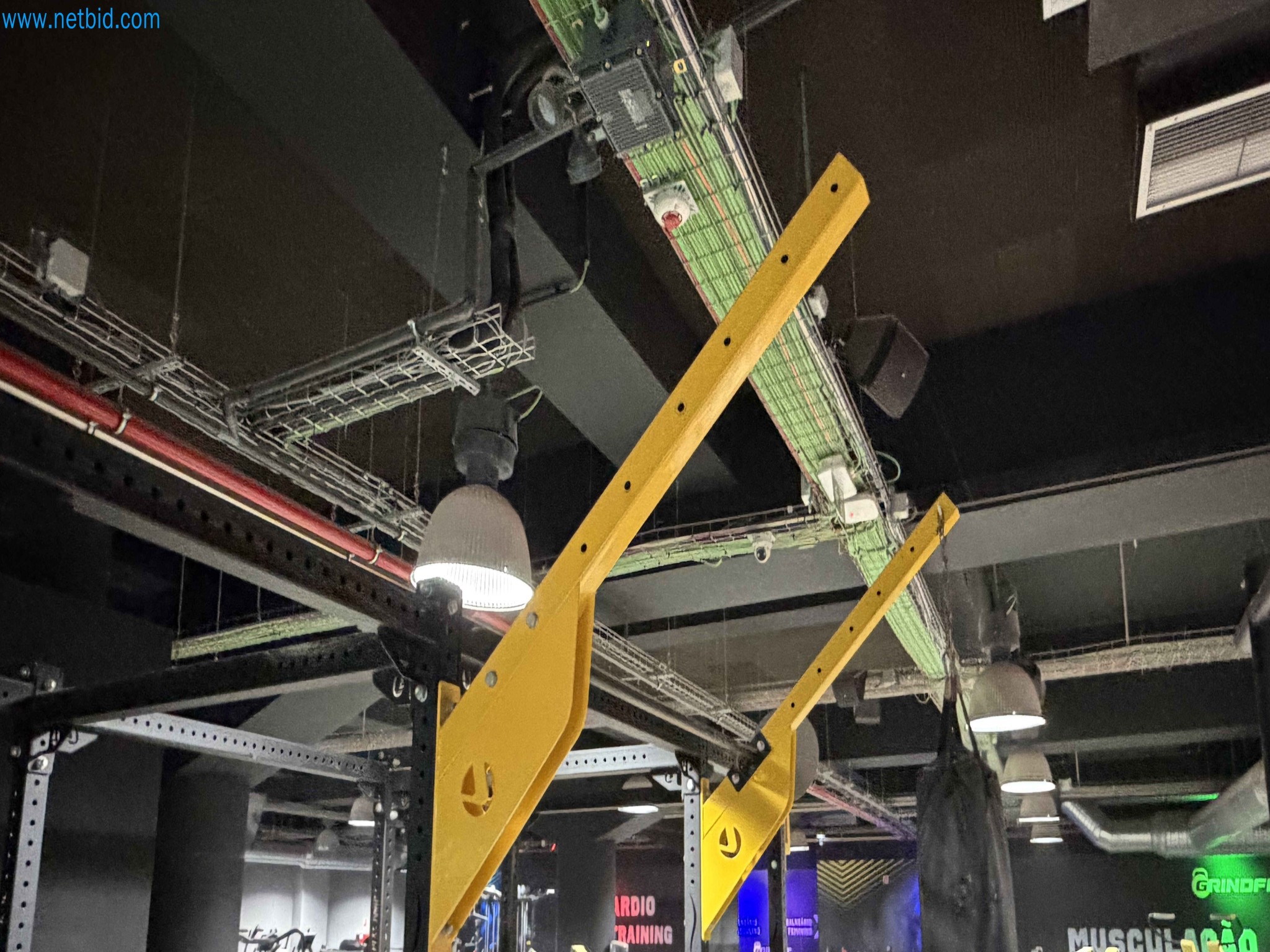 Auction of Used Technogym Gym Equipment – Professional Fitness Machines-1