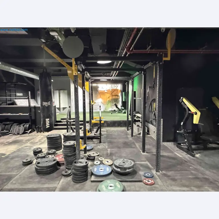 Subasta de Equipos de Gimnasio Technogym Usados – Máquinas Fitness Profesionales-2