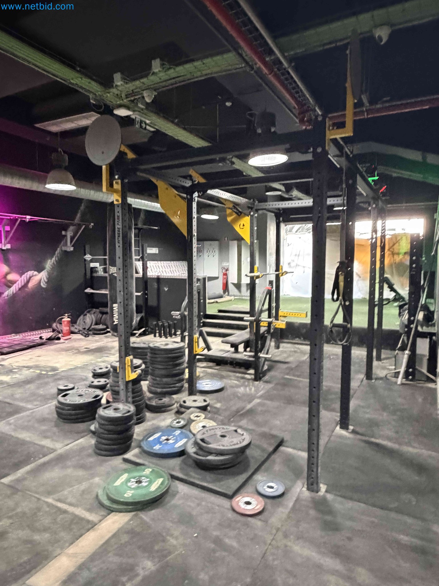 Auction of Used Technogym Gym Equipment – Professional Fitness Machines-3