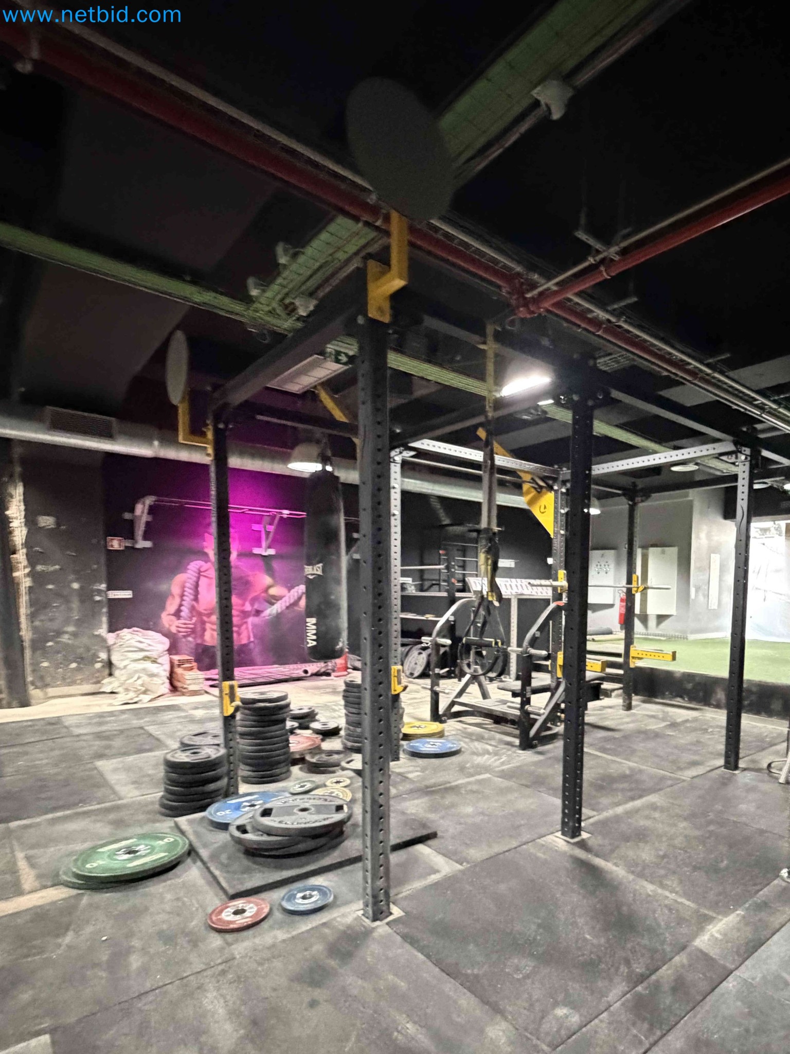 Auction of Used Technogym Gym Equipment – Professional Fitness Machines-4