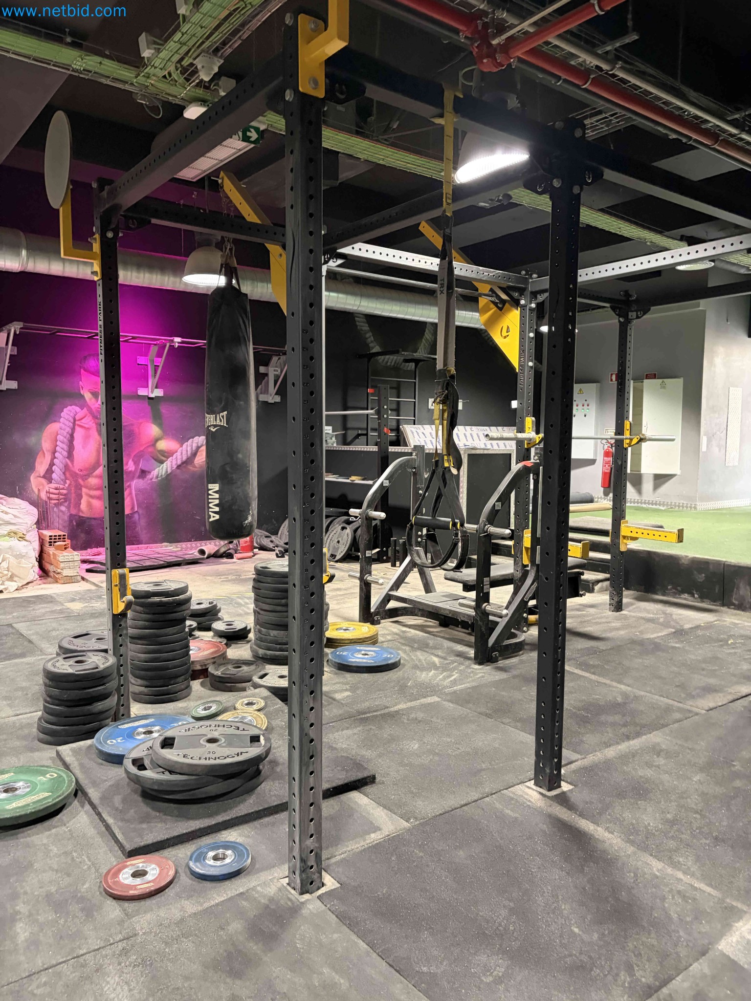 Auction of Used Technogym Gym Equipment – Professional Fitness Machines-5