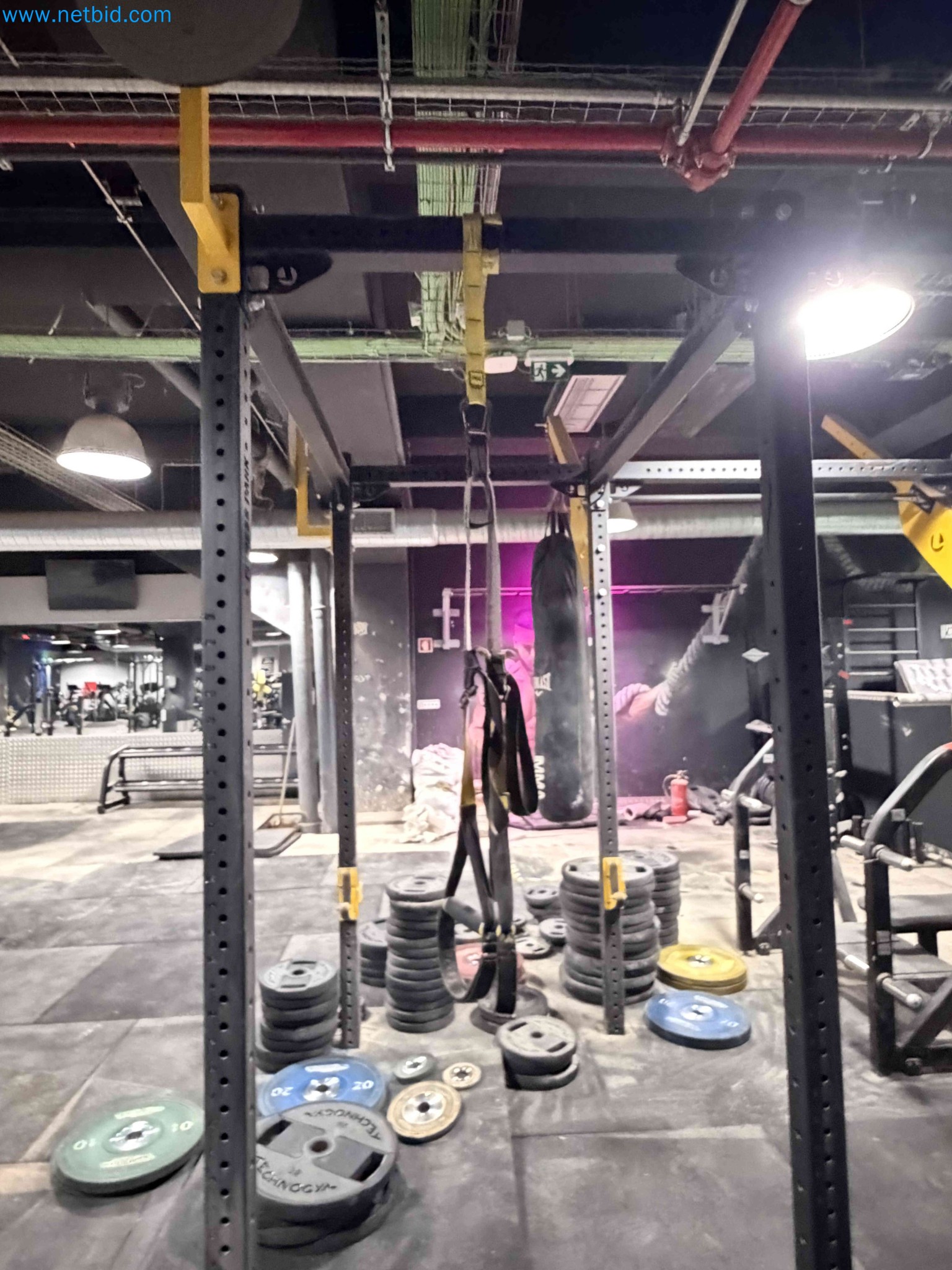 Auction of Used Technogym Gym Equipment – Professional Fitness Machines-6