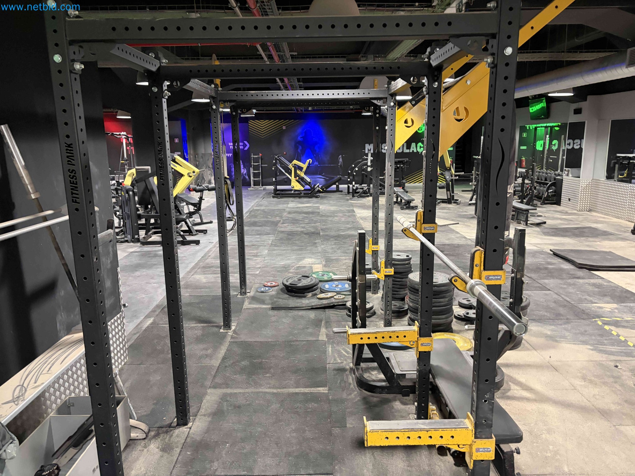 Auction of Used Technogym Gym Equipment – Professional Fitness Machines-7