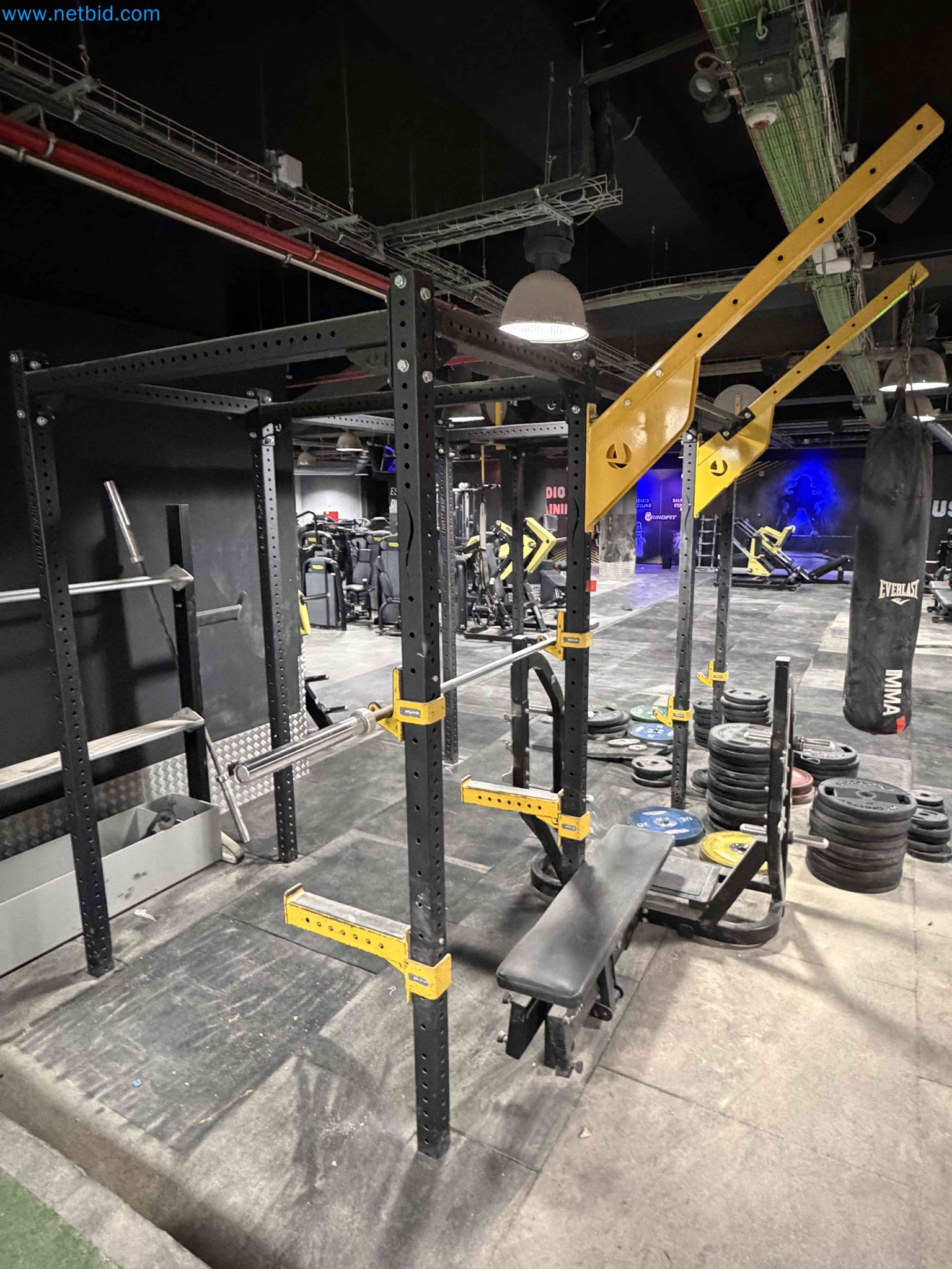 Auction of Used Technogym Gym Equipment – Professional Fitness Machines-9