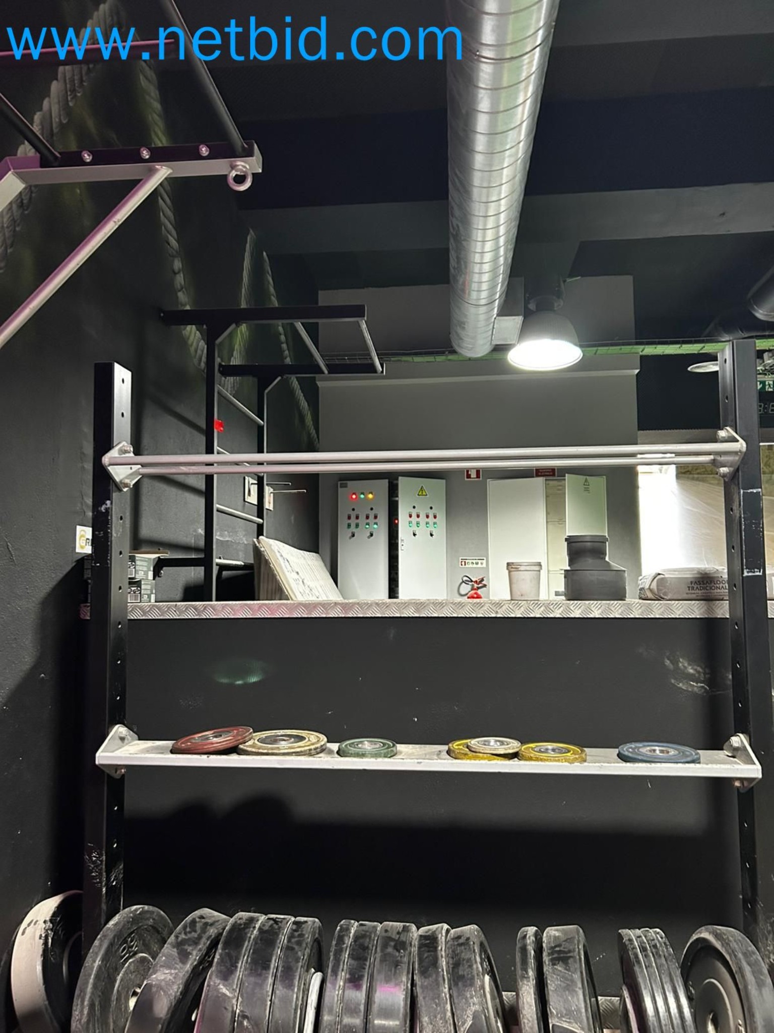 Auction of Used Technogym Gym Equipment – Professional Fitness Machines-1