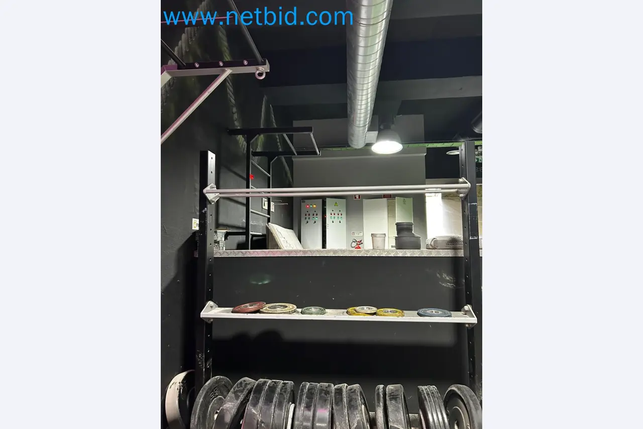 Auction of Used Technogym Gym Equipment – Professional Fitness Machines-1