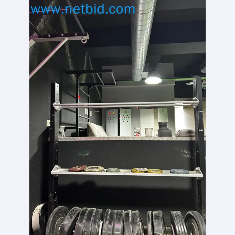 Auction of Used Technogym Gym Equipment – Professional Fitness Machines-1