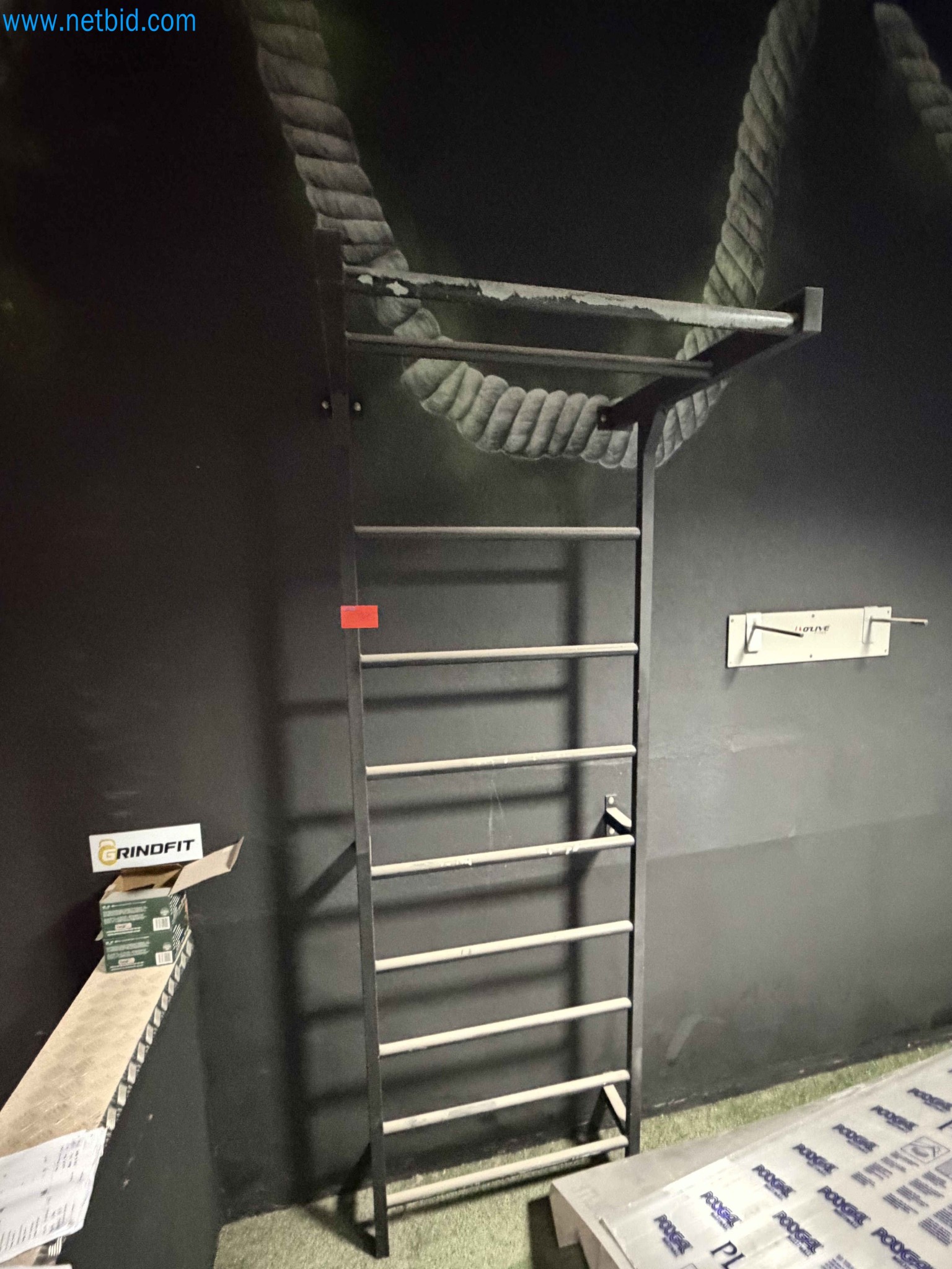 Auction of Used Technogym Gym Equipment – Professional Fitness Machines-1