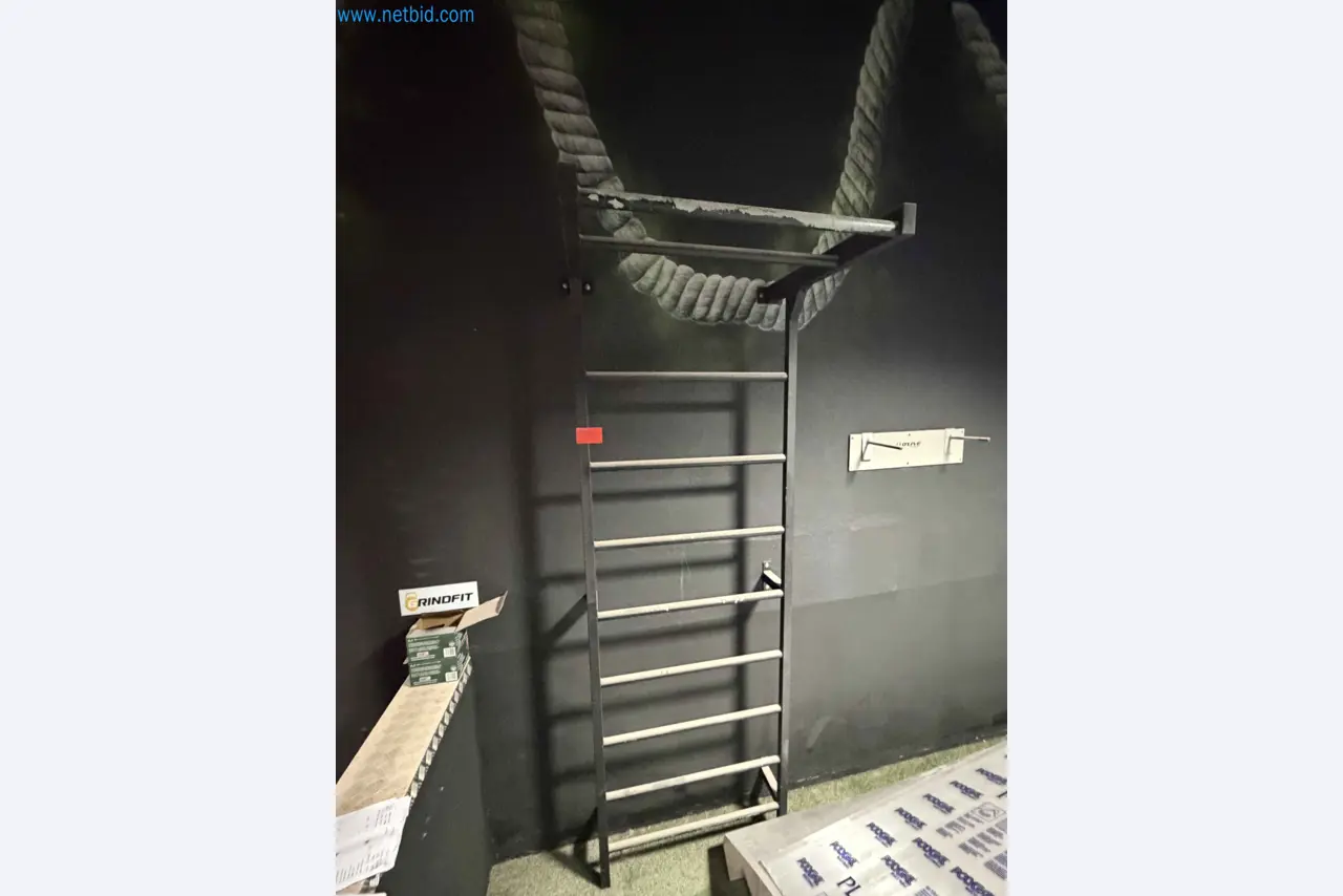 Auction of Used Technogym Gym Equipment – Professional Fitness Machines-1