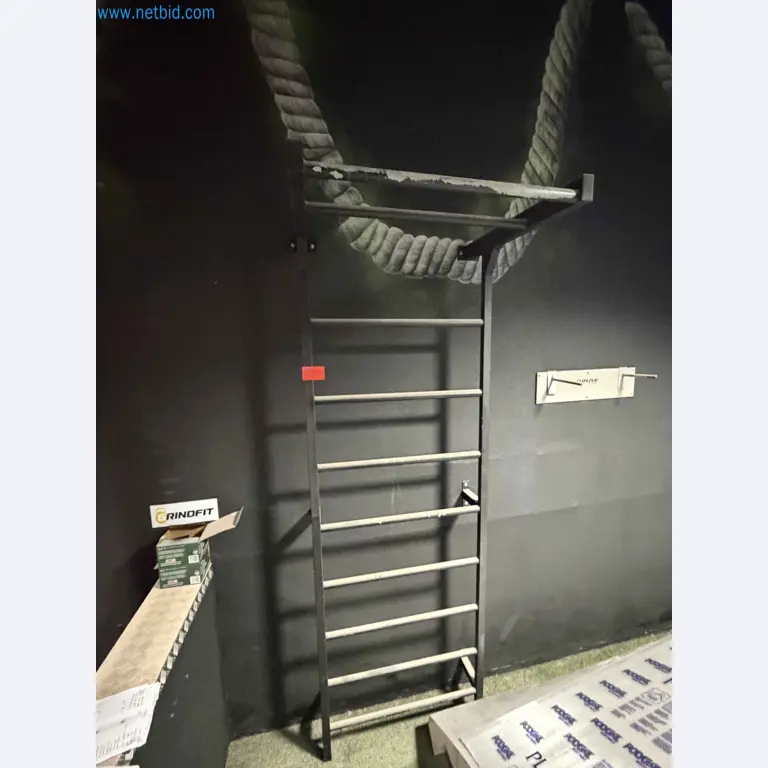 Auction of Used Technogym Gym Equipment – Professional Fitness Machines-1