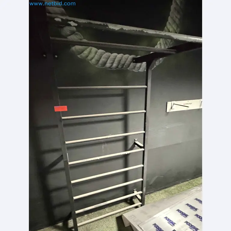 Auction of Used Technogym Gym Equipment – Professional Fitness Machines-2