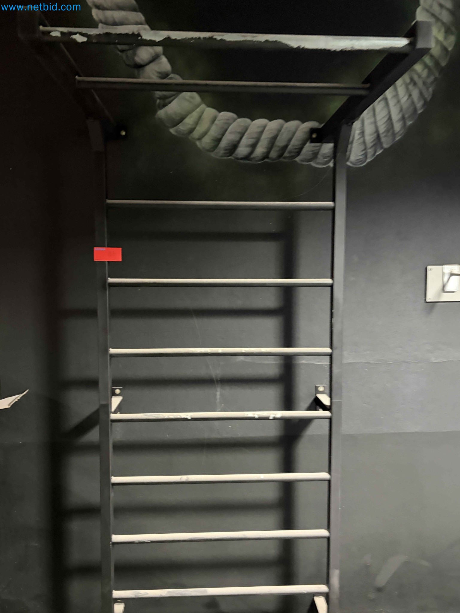 Auction of Used Technogym Gym Equipment – Professional Fitness Machines-3