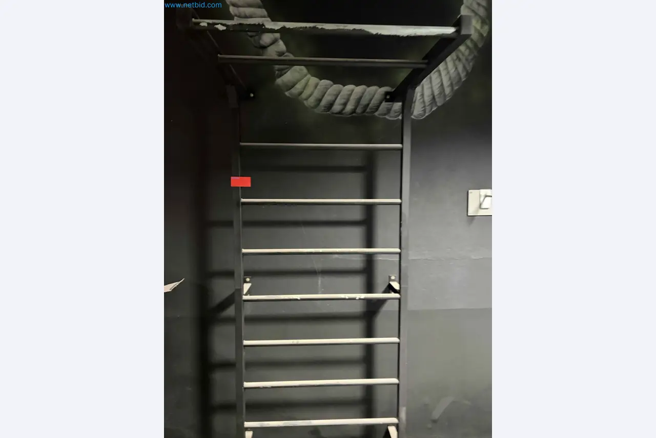 Auction of Used Technogym Gym Equipment – Professional Fitness Machines-3