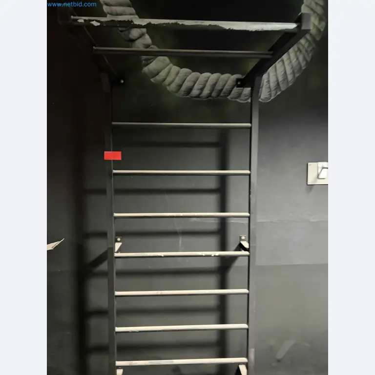 Auction of Used Technogym Gym Equipment – Professional Fitness Machines-3