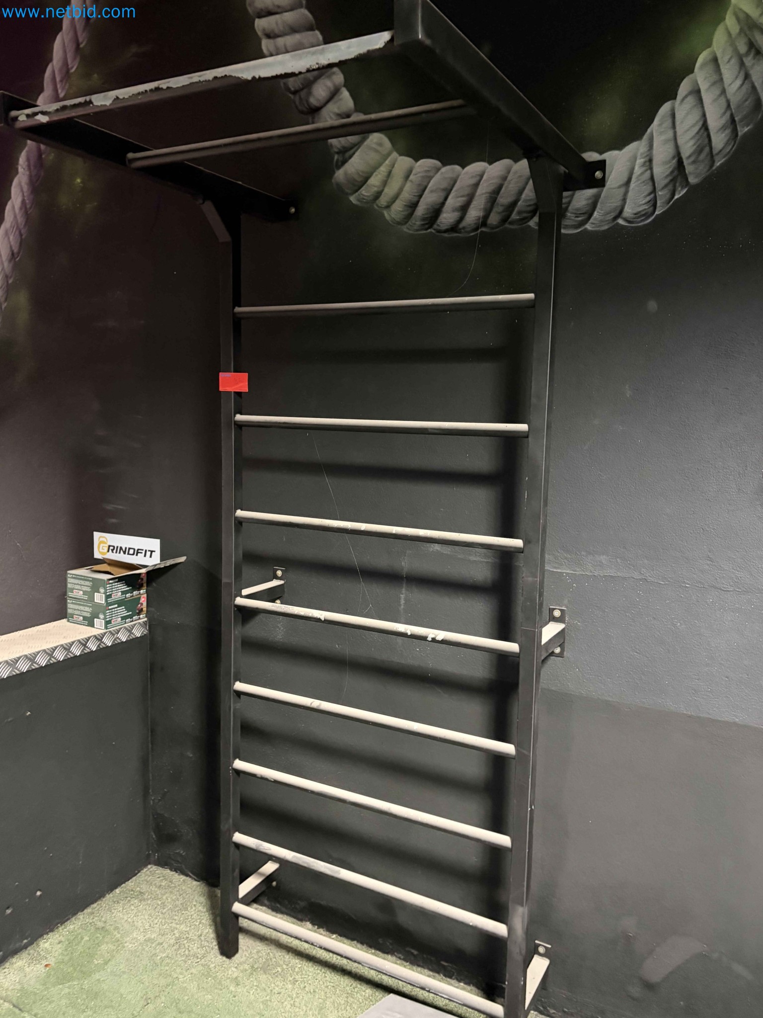 Auction of Used Technogym Gym Equipment – Professional Fitness Machines-4