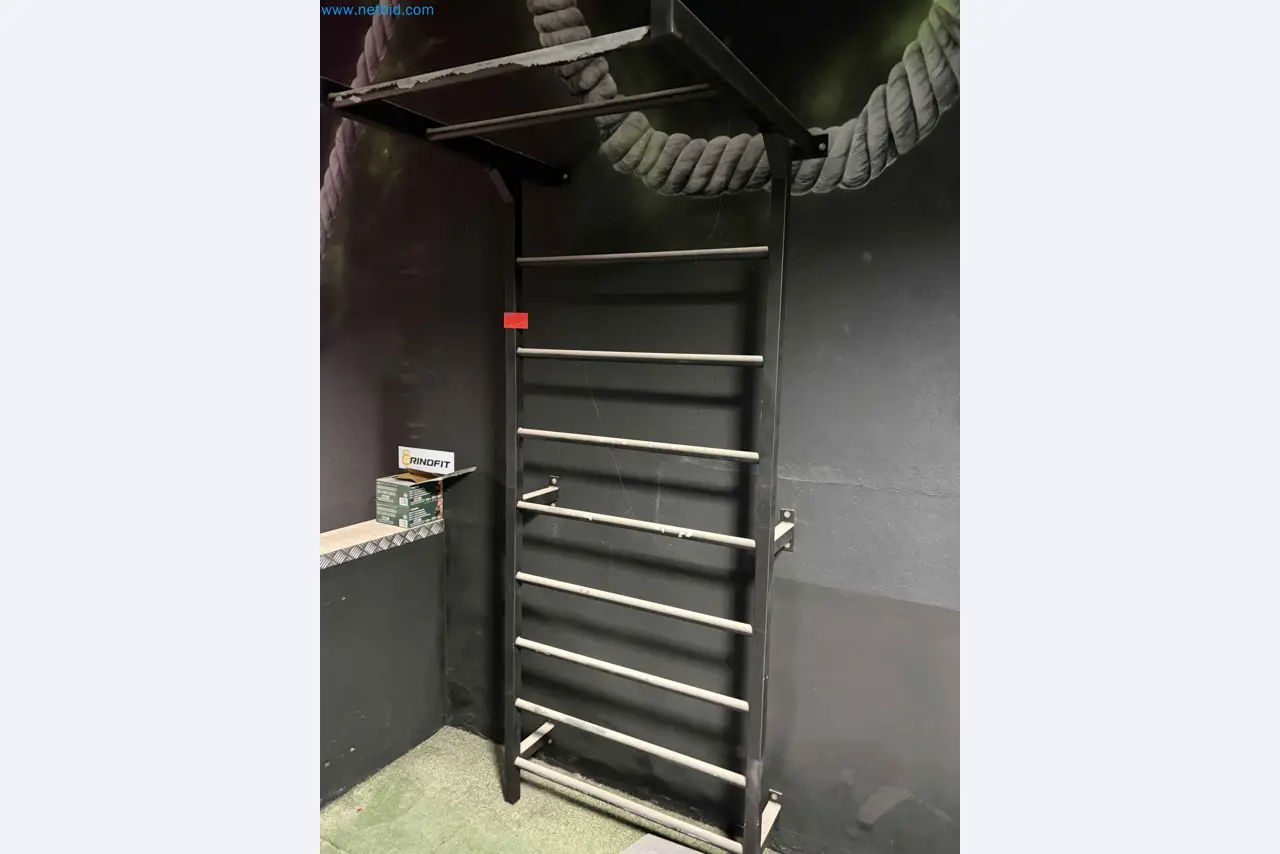 Auction of Used Technogym Gym Equipment – Professional Fitness Machines-4