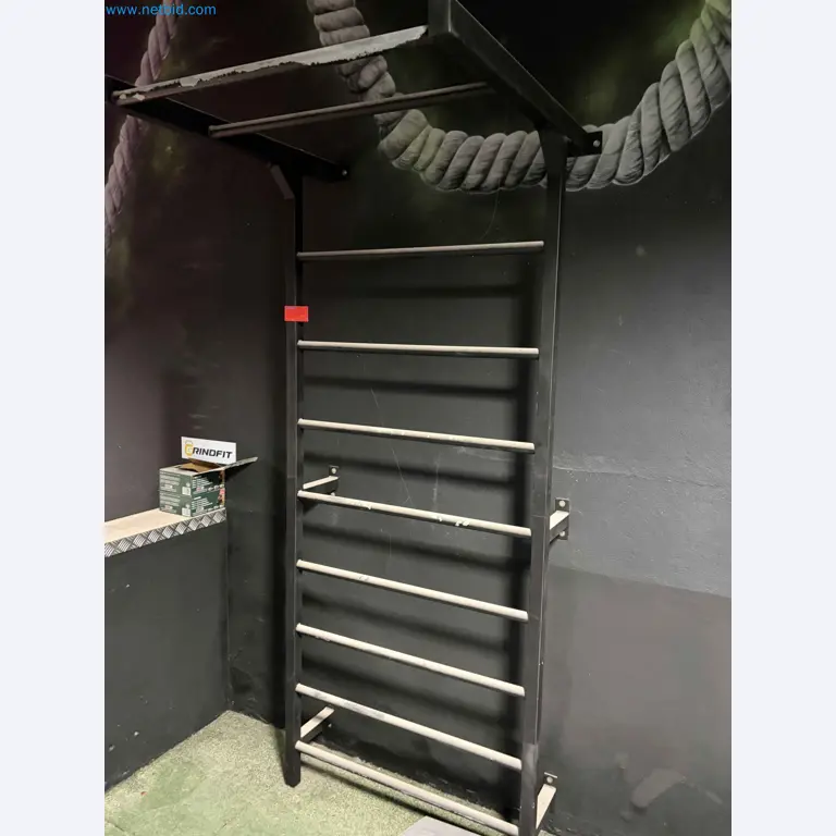 Auction of Used Technogym Gym Equipment – Professional Fitness Machines-4