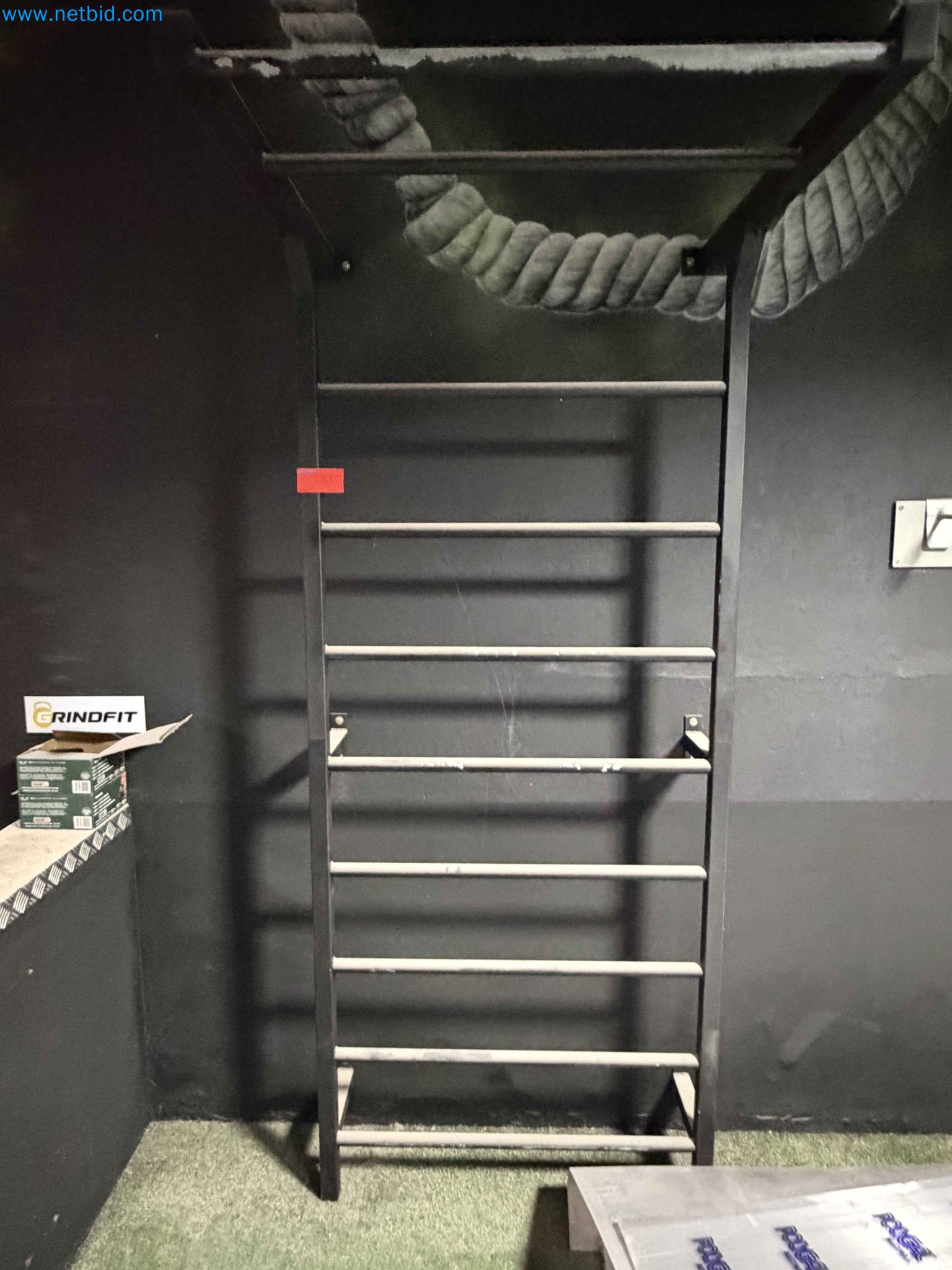 Auction of Used Technogym Gym Equipment – Professional Fitness Machines-5