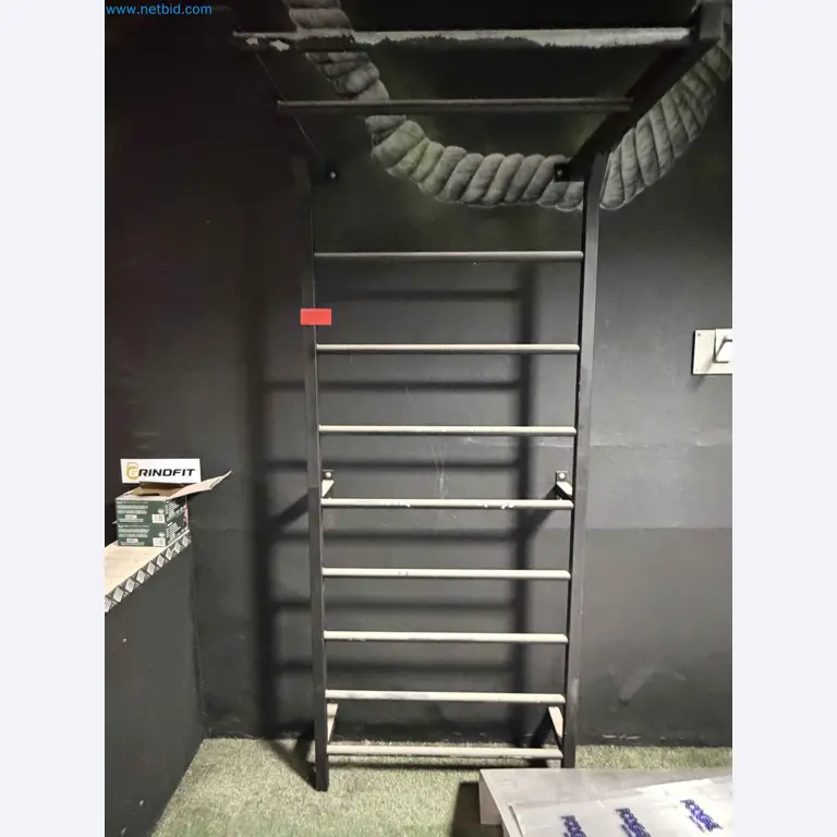 Auction of Used Technogym Gym Equipment – Professional Fitness Machines-5