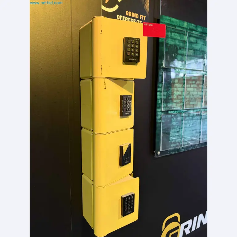 Auction of Used Technogym Gym Equipment – Professional Fitness Machines-11