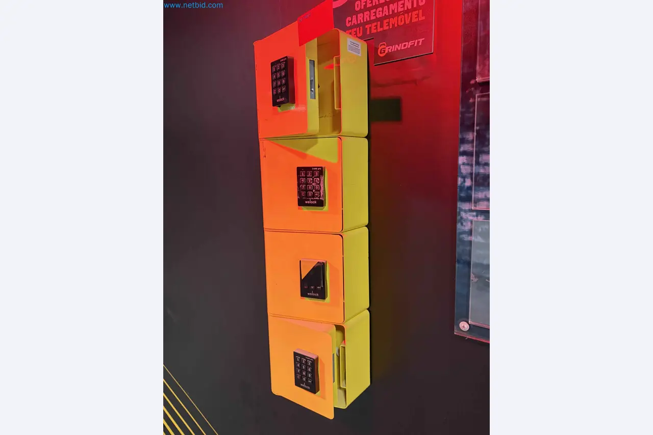 Auction of Used Technogym Gym Equipment – Professional Fitness Machines-1