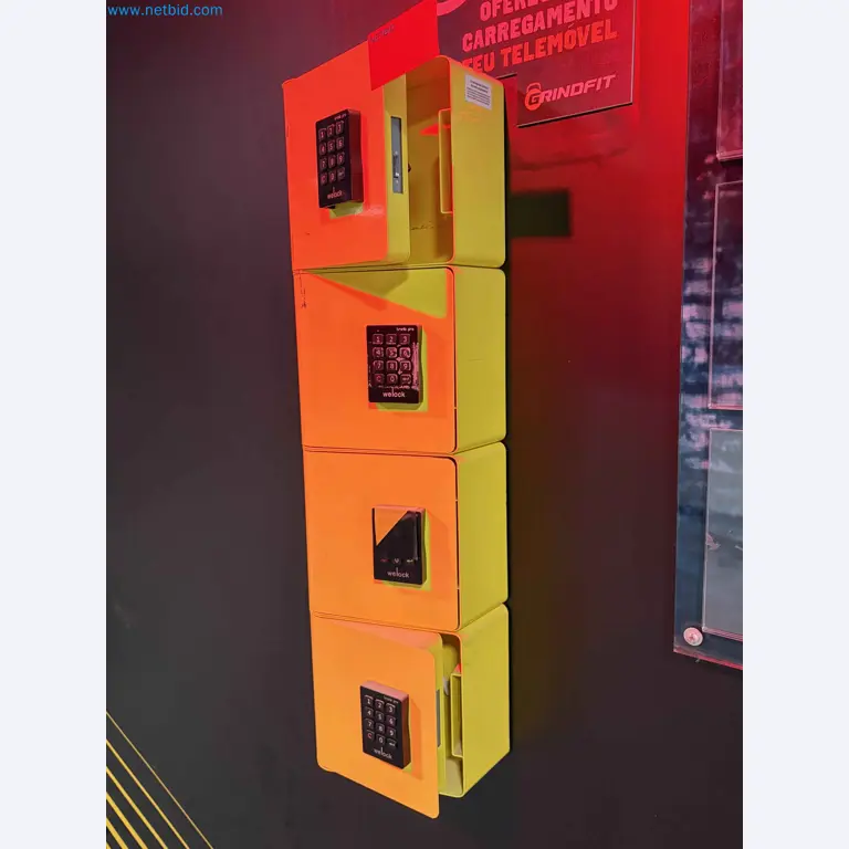 Auction of Used Technogym Gym Equipment – Professional Fitness Machines-1