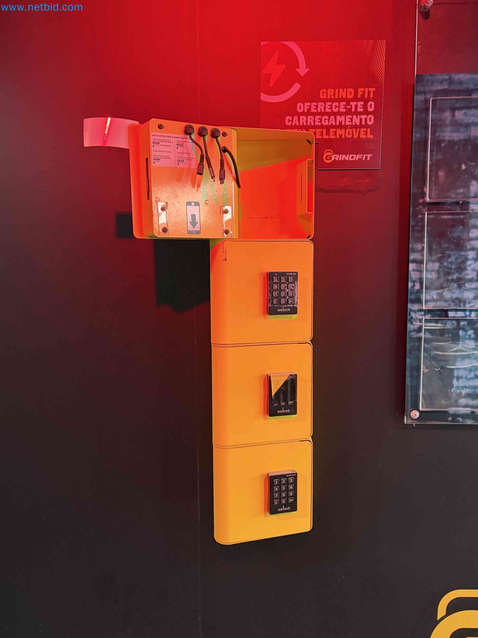 Auction of Used Technogym Gym Equipment – Professional Fitness Machines-2