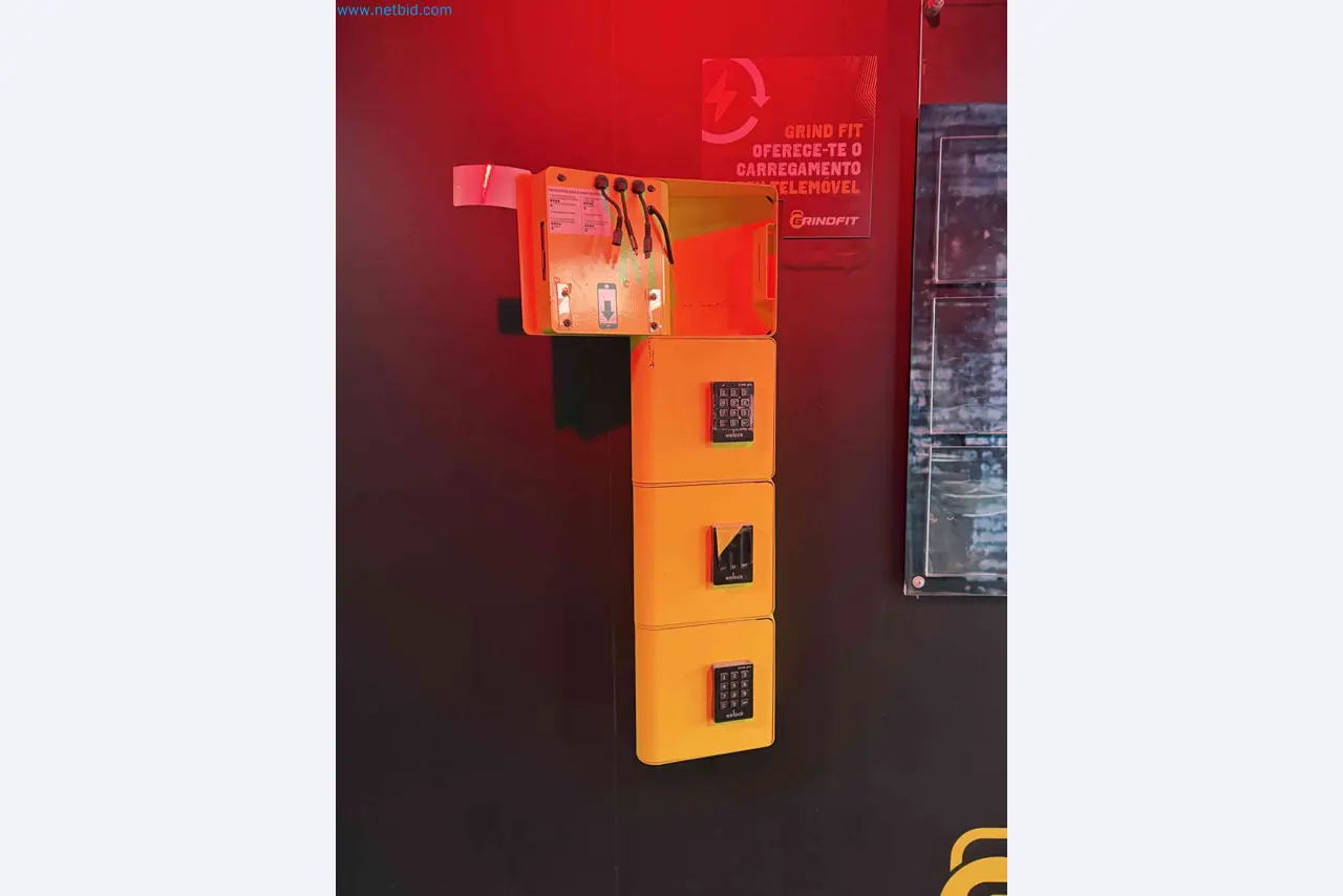 Auction of Used Technogym Gym Equipment – Professional Fitness Machines-2