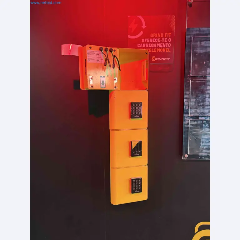 Auction of Used Technogym Gym Equipment – Professional Fitness Machines-2