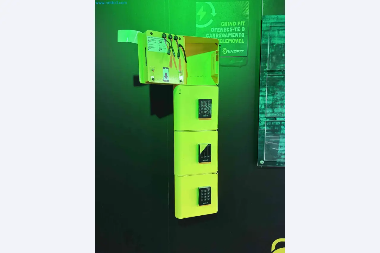 Auction of Used Technogym Gym Equipment – Professional Fitness Machines-3