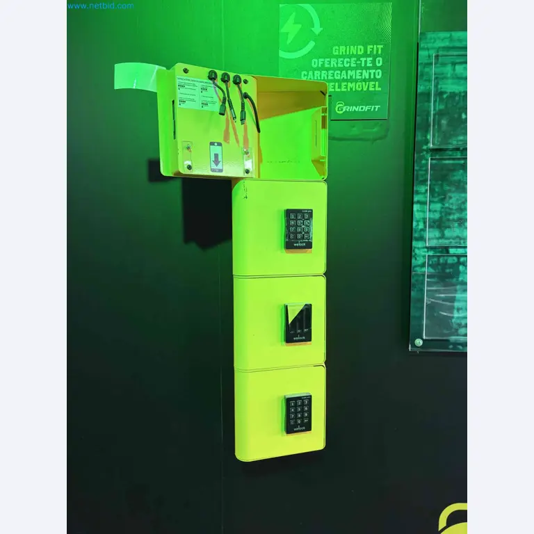 Auction of Used Technogym Gym Equipment – Professional Fitness Machines-3