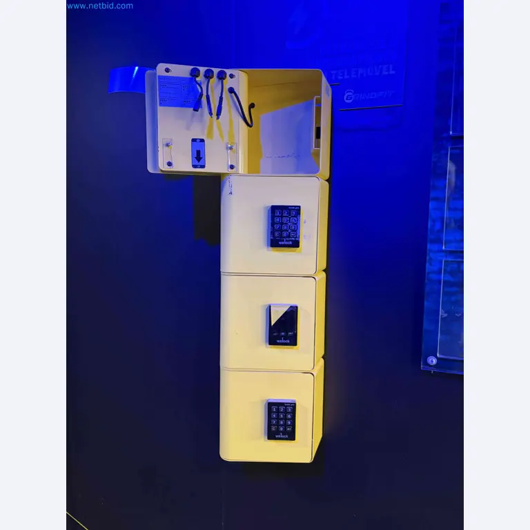 Auction of Used Technogym Gym Equipment – Professional Fitness Machines-4