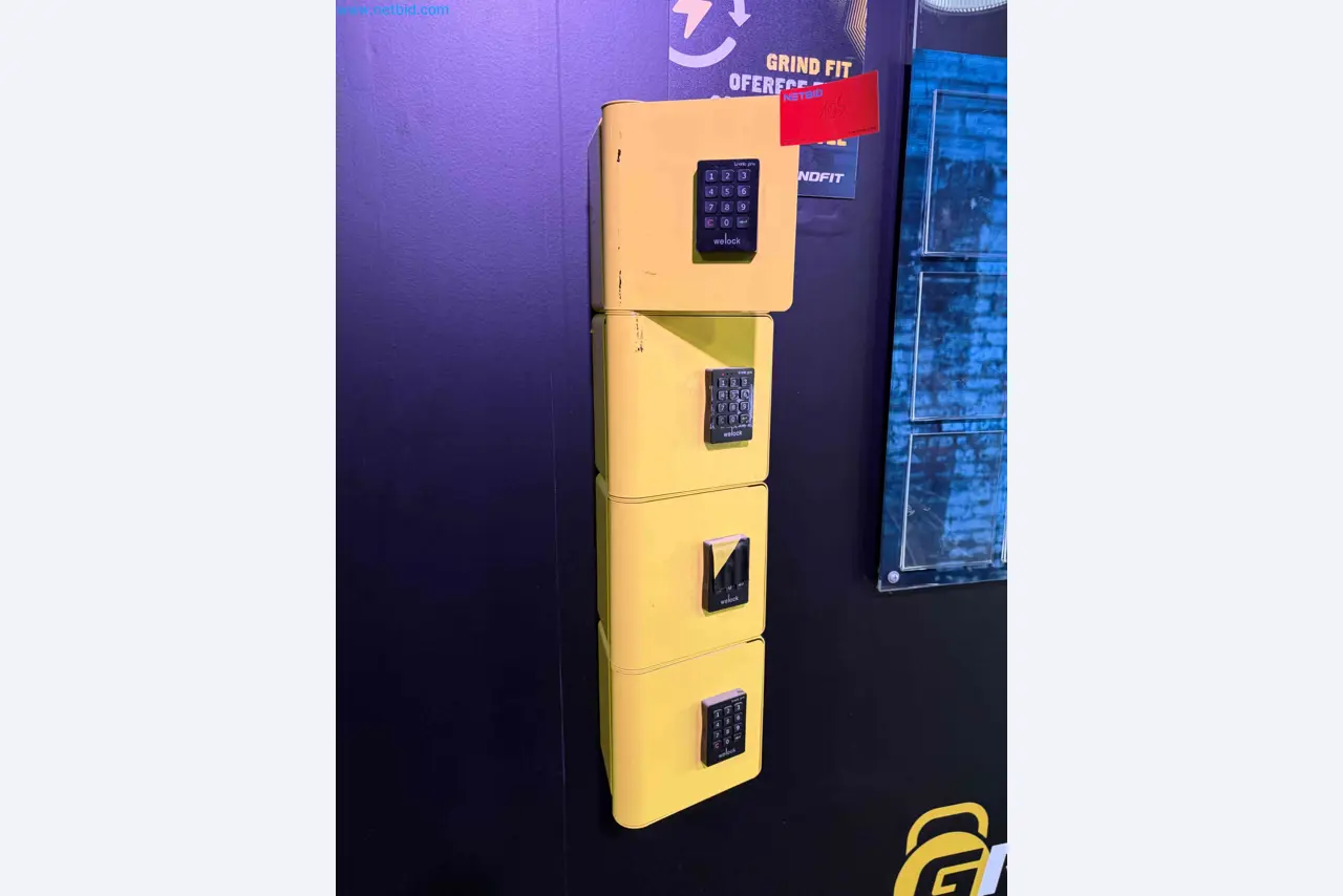 Auction of Used Technogym Gym Equipment – Professional Fitness Machines-5