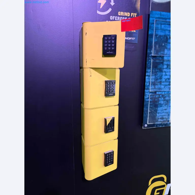 Auction of Used Technogym Gym Equipment – Professional Fitness Machines-5