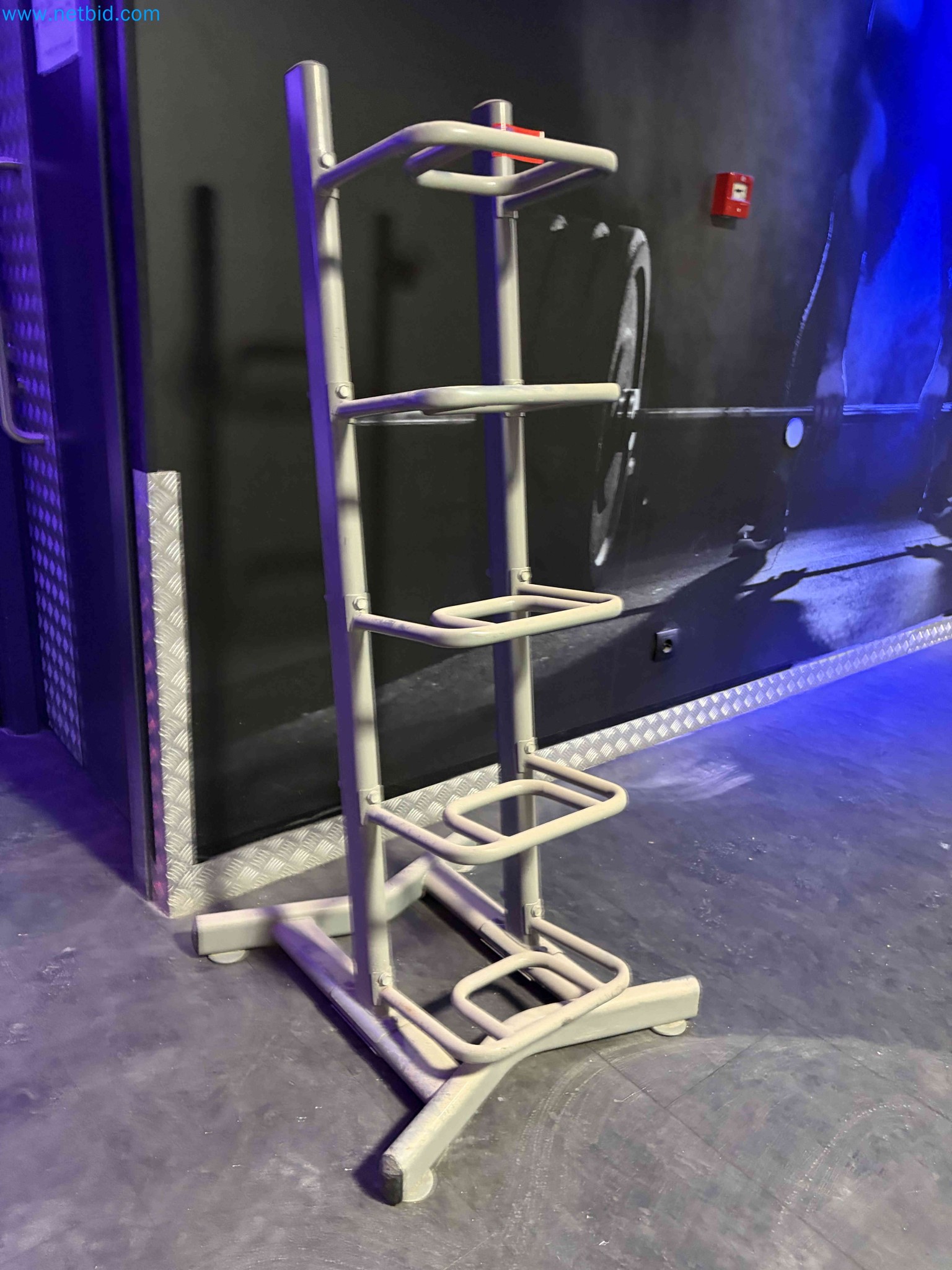 Auction of Used Technogym Gym Equipment – Professional Fitness Machines-1