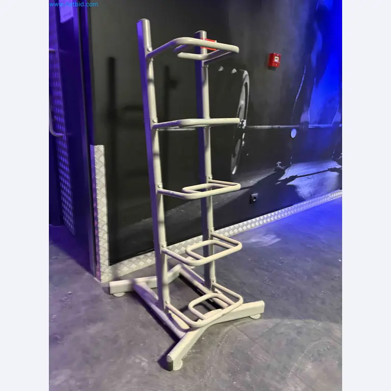 Leilão de Equipamentos de Ginásio Technogym Usados – Máquinas de Fitness Profissionais-1