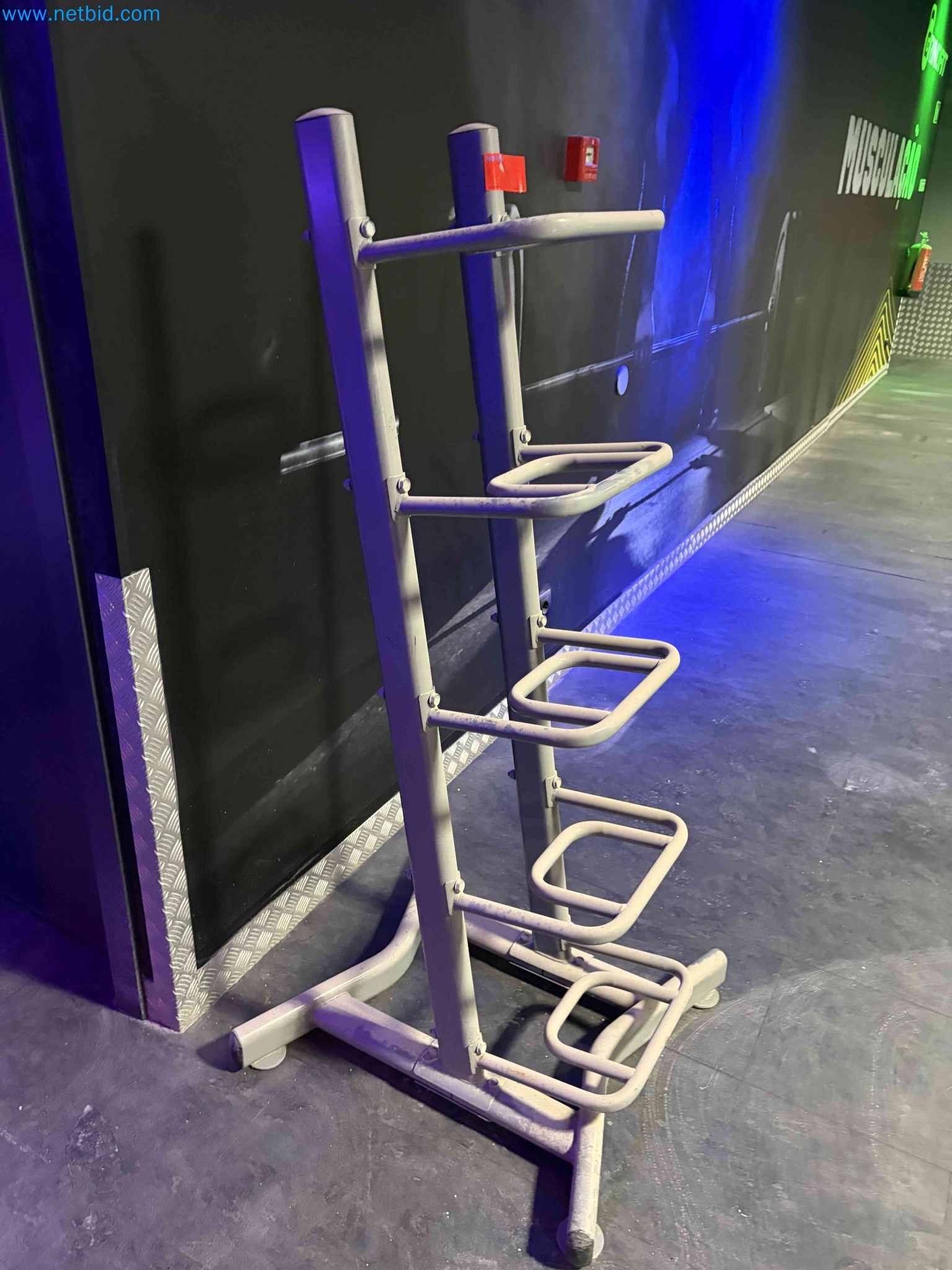 Auction of Used Technogym Gym Equipment – Professional Fitness Machines-2